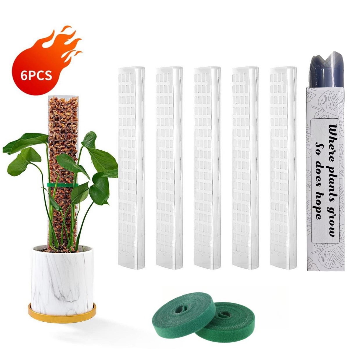 Echeveria Succulent - Moss Poles Plants Plant Support Plastic