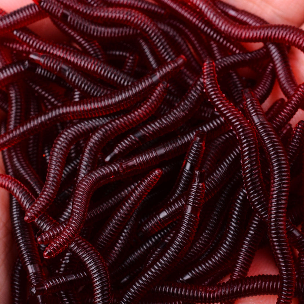 Aglaonema Red - 50 sztuk realistyczne czerwony robak miękka