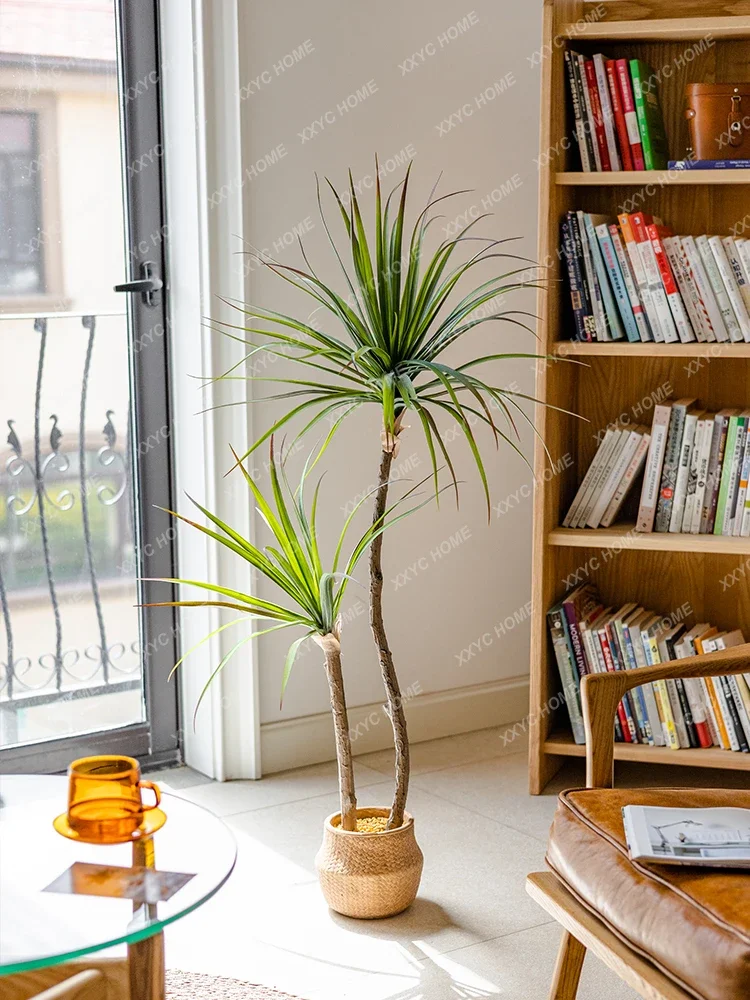 Dracaena Marginata - Lekka luksusowa symulacja zielonej rośliny Agawa