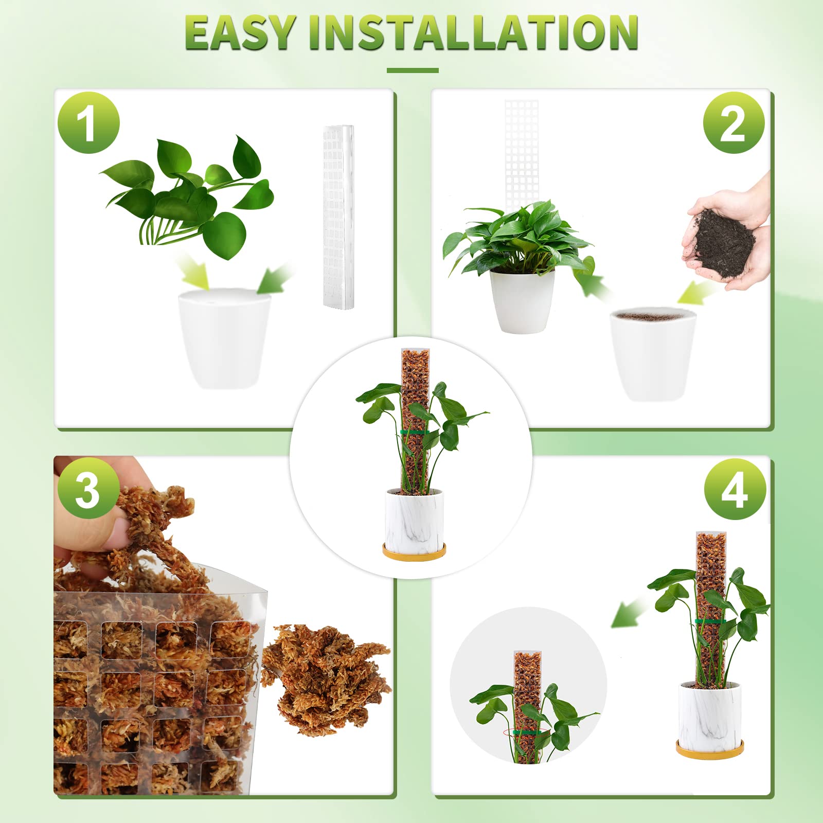 Moss Poles Plants Plant Suppor – Echeveria Succulent recenzja i cena