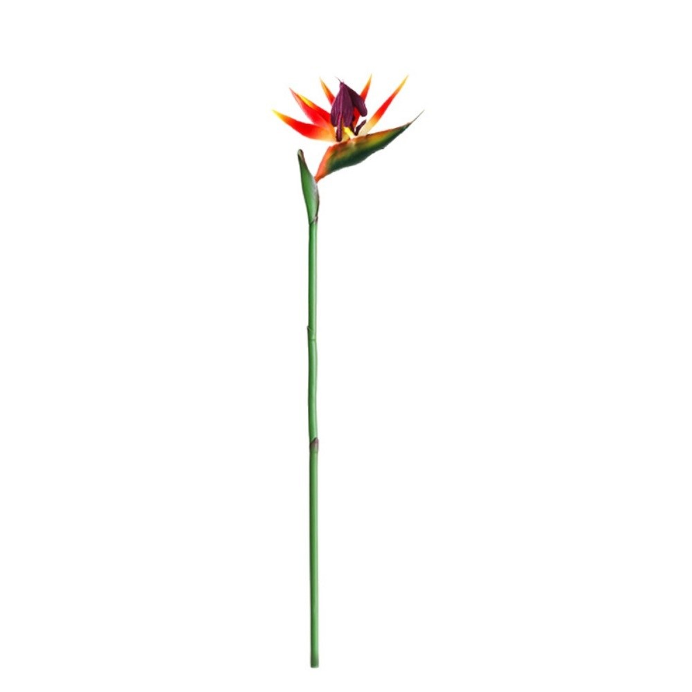 Nowe sztuczne kwiaty strelitzi – Bird Paradise Strelitzia recenzja i cena