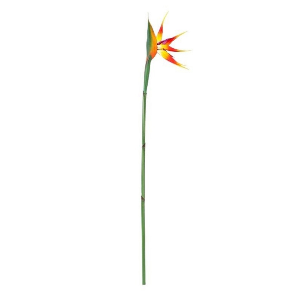 Sztuczne kwiaty strelitzii z d – Bird Paradise Strelitzia recenzja i cena