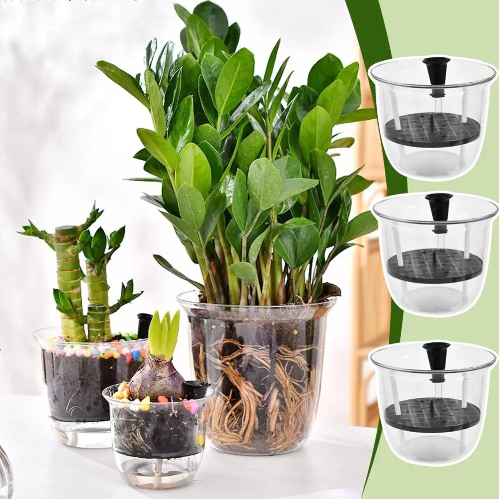 2 szt. Samonawadniające się do – Aloe Vera Pot recenzja i cena