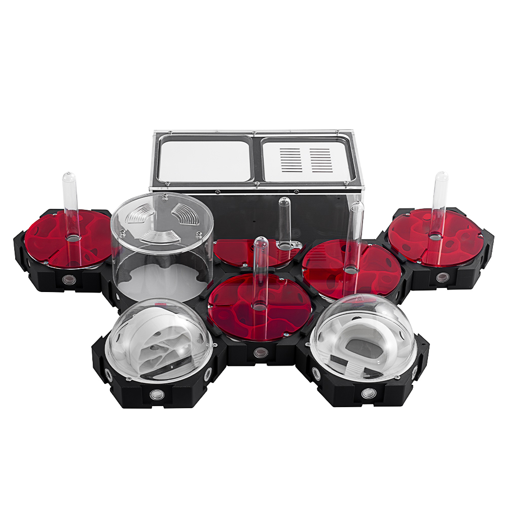 Druk 3D Farma mrówek Nieskończ – Begonia Rex recenzja i cena