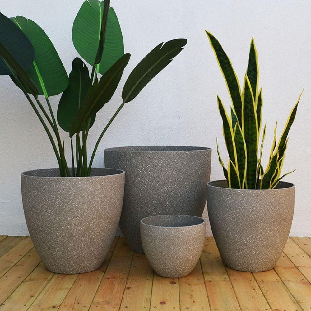 Matowy imitacja kamienia donic – Aloe Vera Pot recenzja i cena