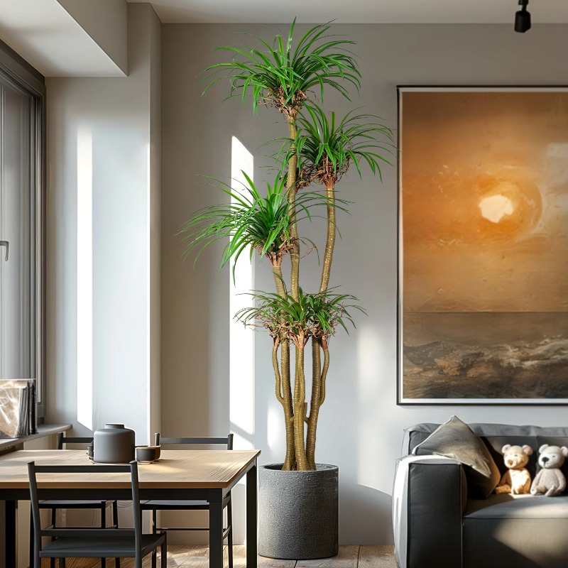 Sztuczna drzewka dracena margi – Dracaena Marginata recenzja i cena