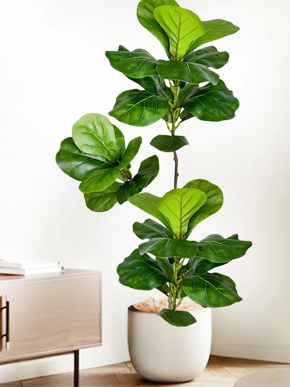 Sztuczny figowiec lirolistny o – Ficus Lyrata Tree recenzja i cena