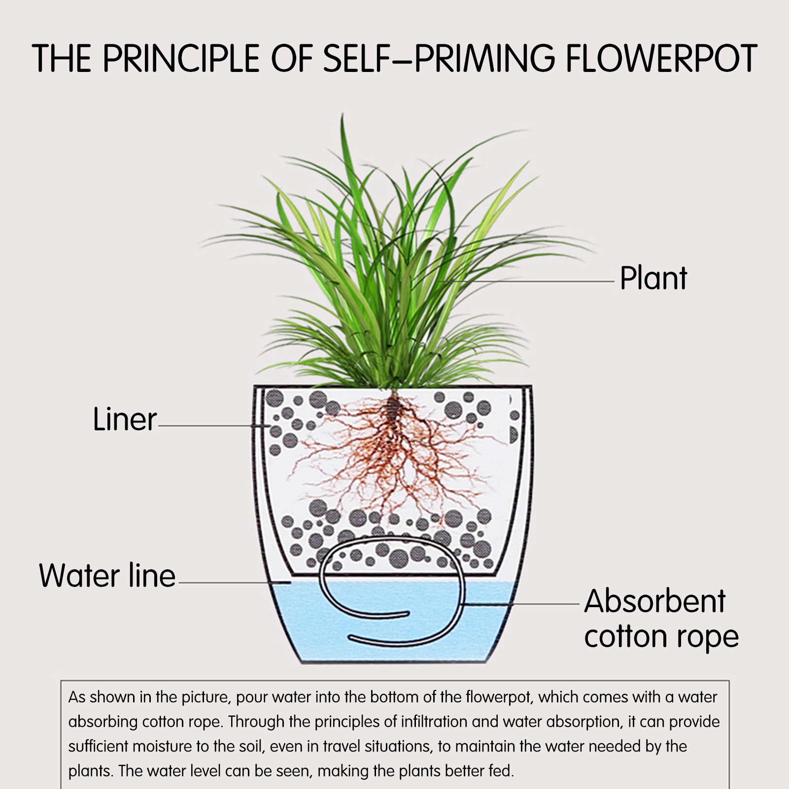 Automatyczne doniczki samonawa – Aloe Vera Pot recenzja i cena