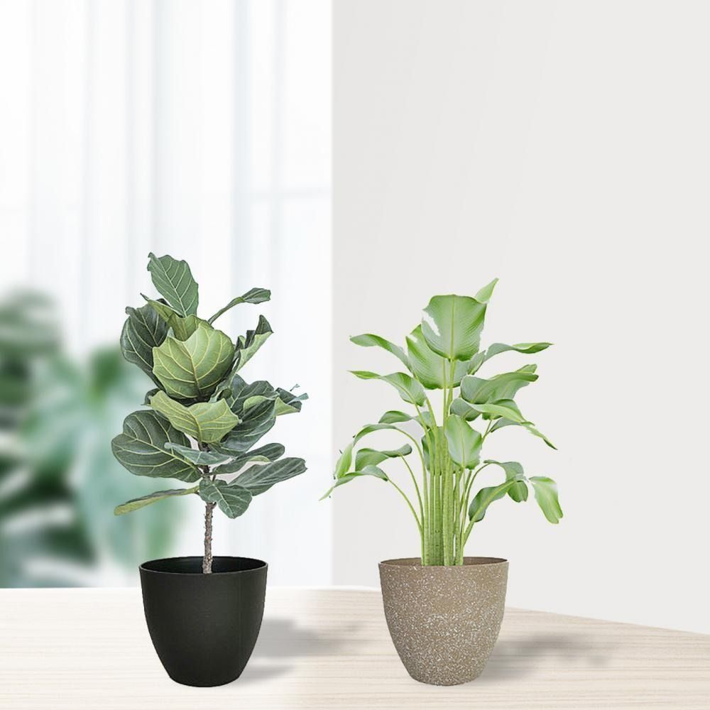 Matowe doniczki z imitacji kam – Aloe Vera Pot recenzja i cena