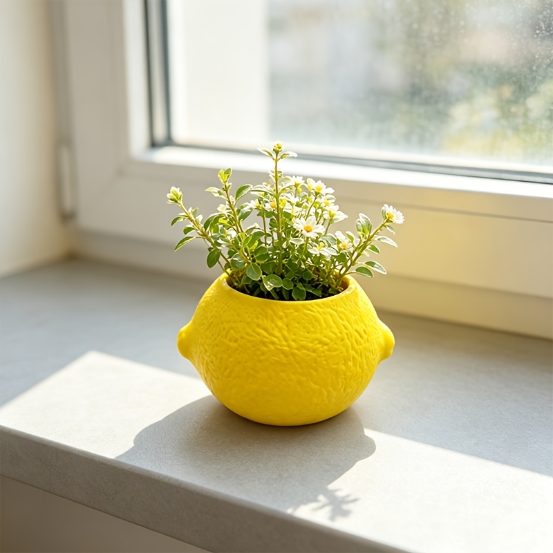 Doniczka dekoracyjna w kształc – Echeveria Succulent recenzja i cena