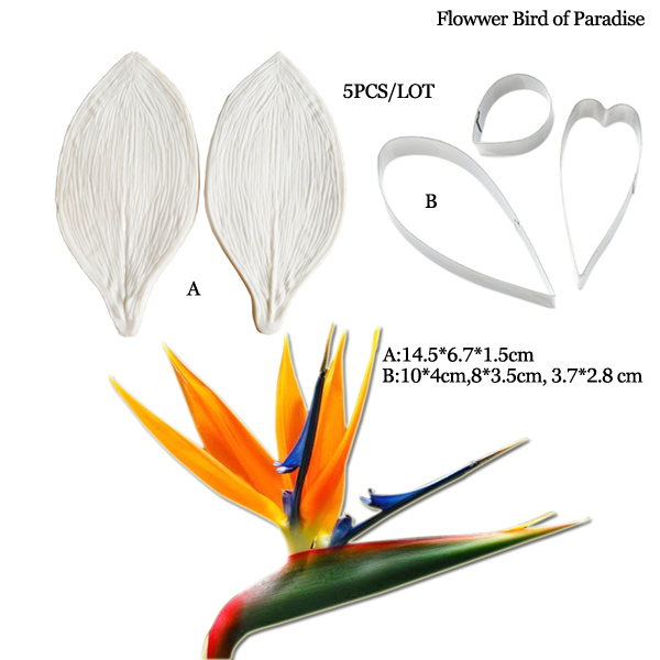 Duże Gumpaste Strelitzia ptaki – Bird Paradise Strelitzia recenzja i cena