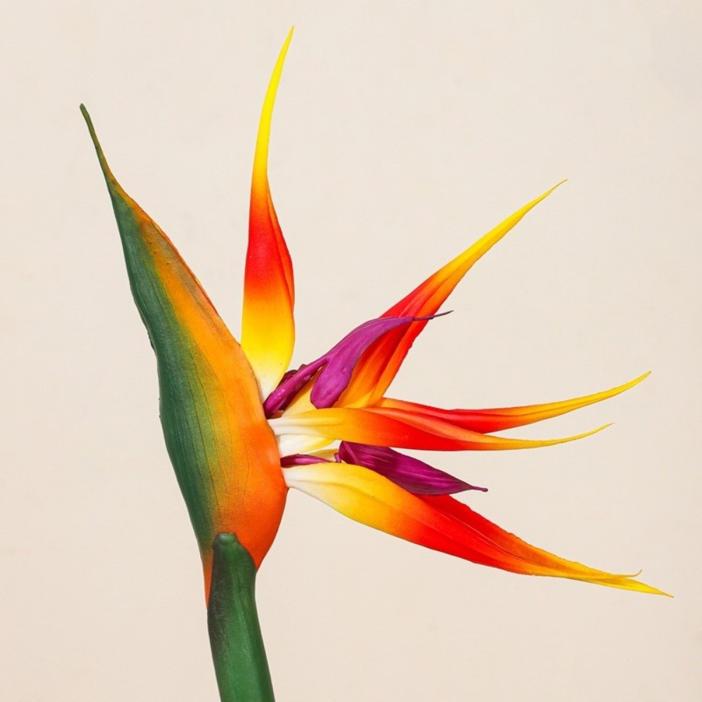 Nowe sztuczne kwiaty strelitzi – Bird Paradise Strelitzia recenzja i cena