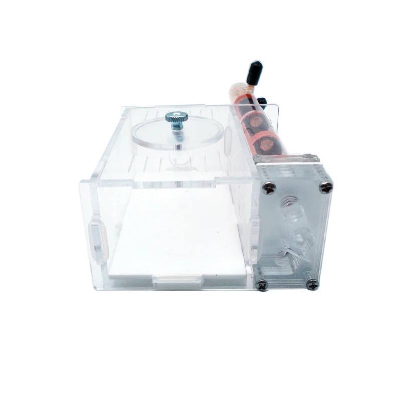 DIY Ant Farm 2 szt. 18-180 mm  – Begonia Rex recenzja i cena