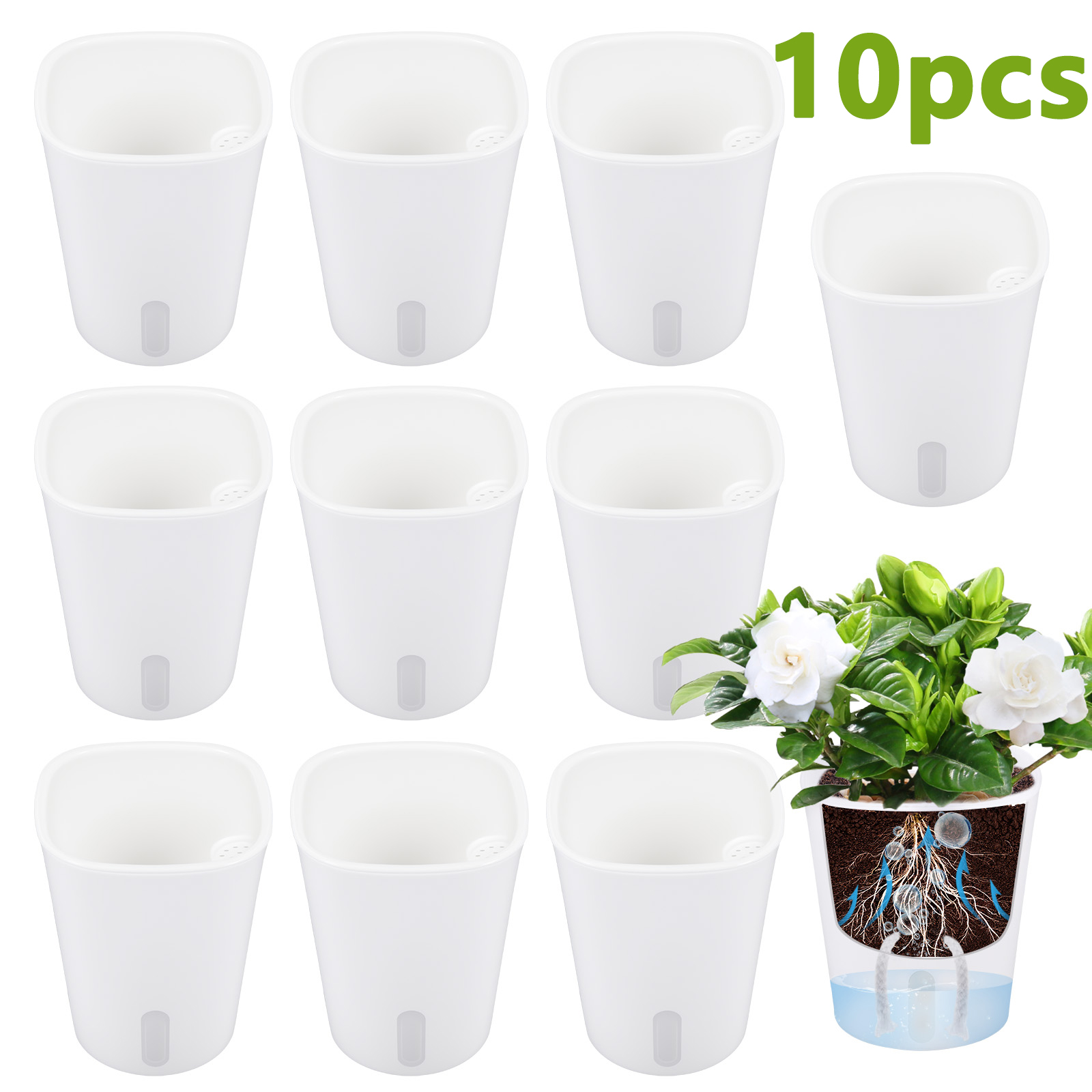10 szt. Samozraszczące się pla – Aloe Vera Pot recenzja i cena