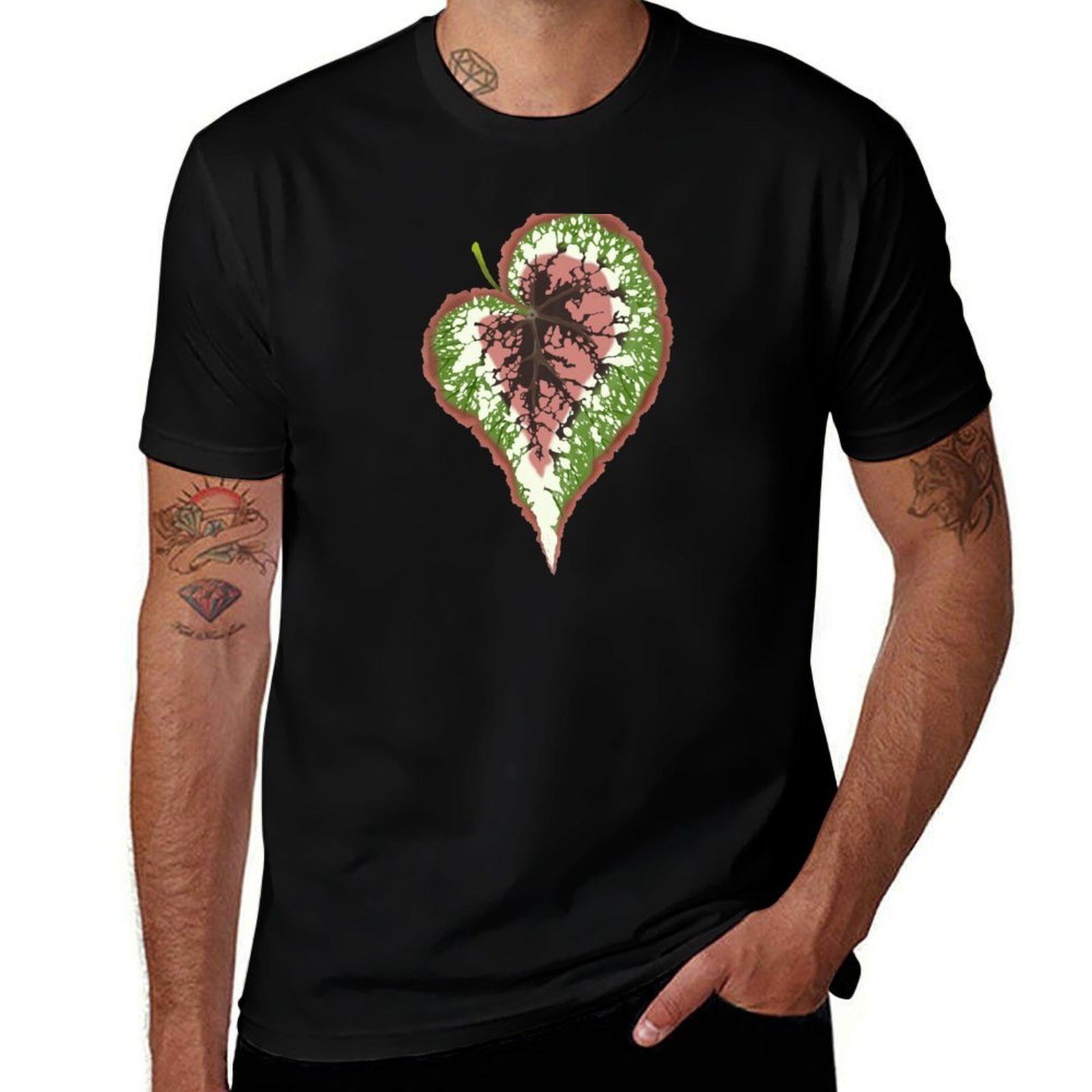 Koszulka Begonia Rex, podstawo – Begonia Rex recenzja i cena