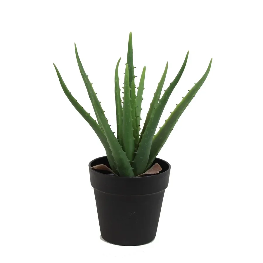 Sztuczna zielona roślina Aloe  – Aloe Vera Pot recenzja i cena