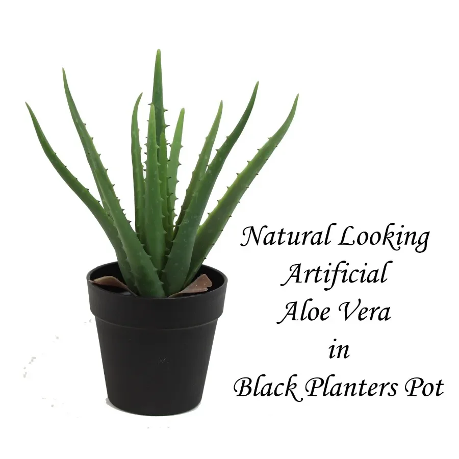 Sztuczna zielona roślina Aloe  – Aloe Vera Pot recenzja i cena