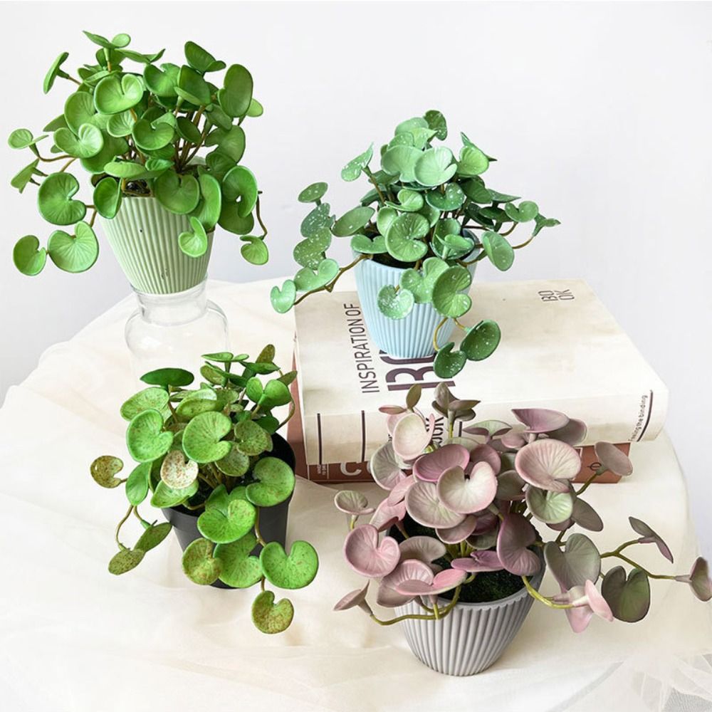 Miękki klej Sztuczna roślina E – Echeveria Succulent recenzja i cena