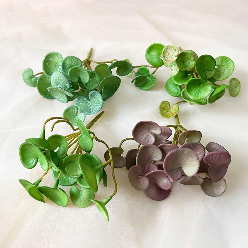 Miękki klej Sztuczna roślina E – Echeveria Succulent recenzja i cena