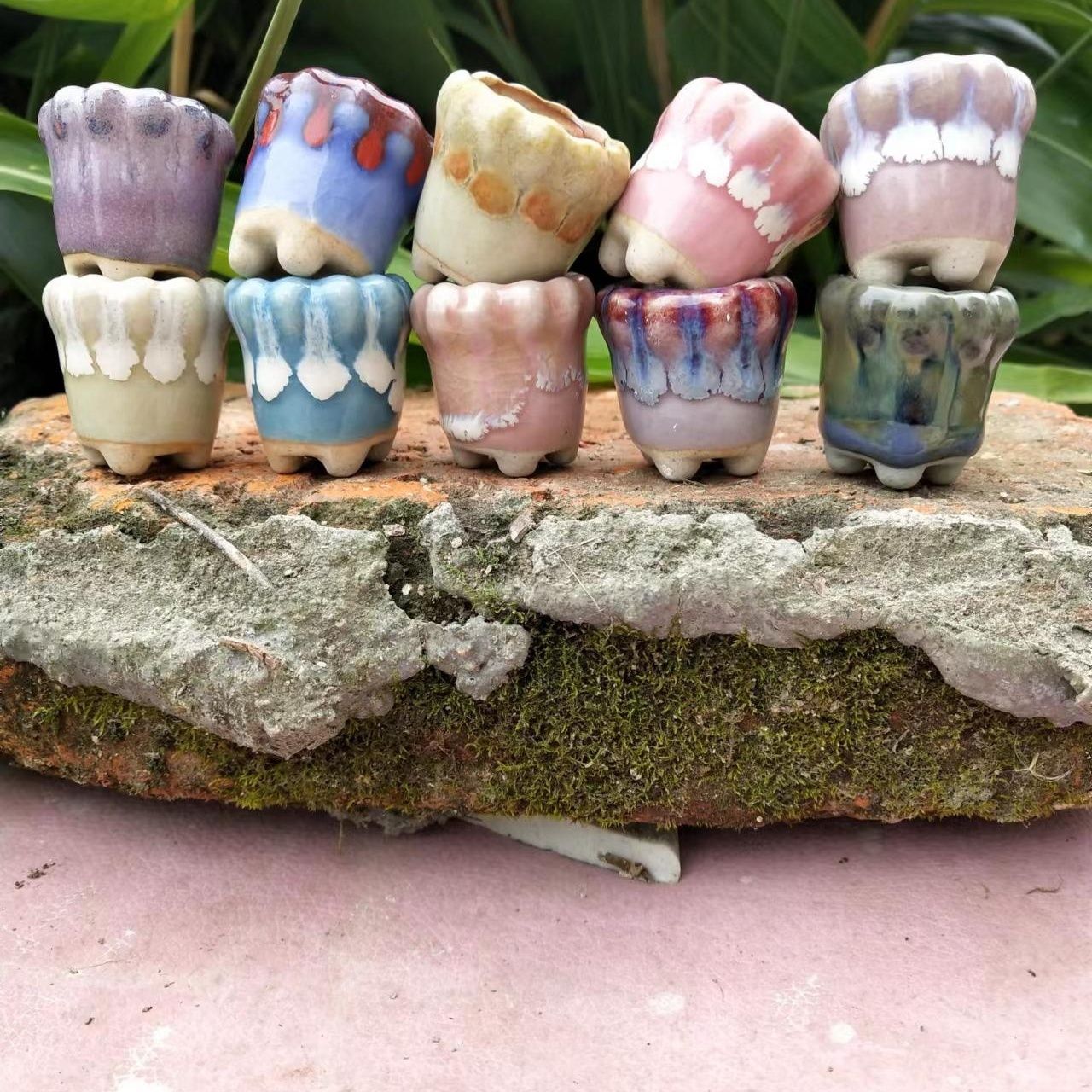 10 szt. Mini ceramika Fowerpot – Echeveria Succulent recenzja i cena