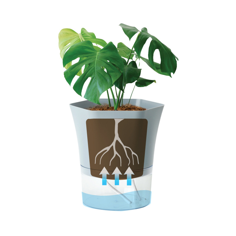 Przezroczyste plastikowe donic – Aloe Vera Pot recenzja i cena
