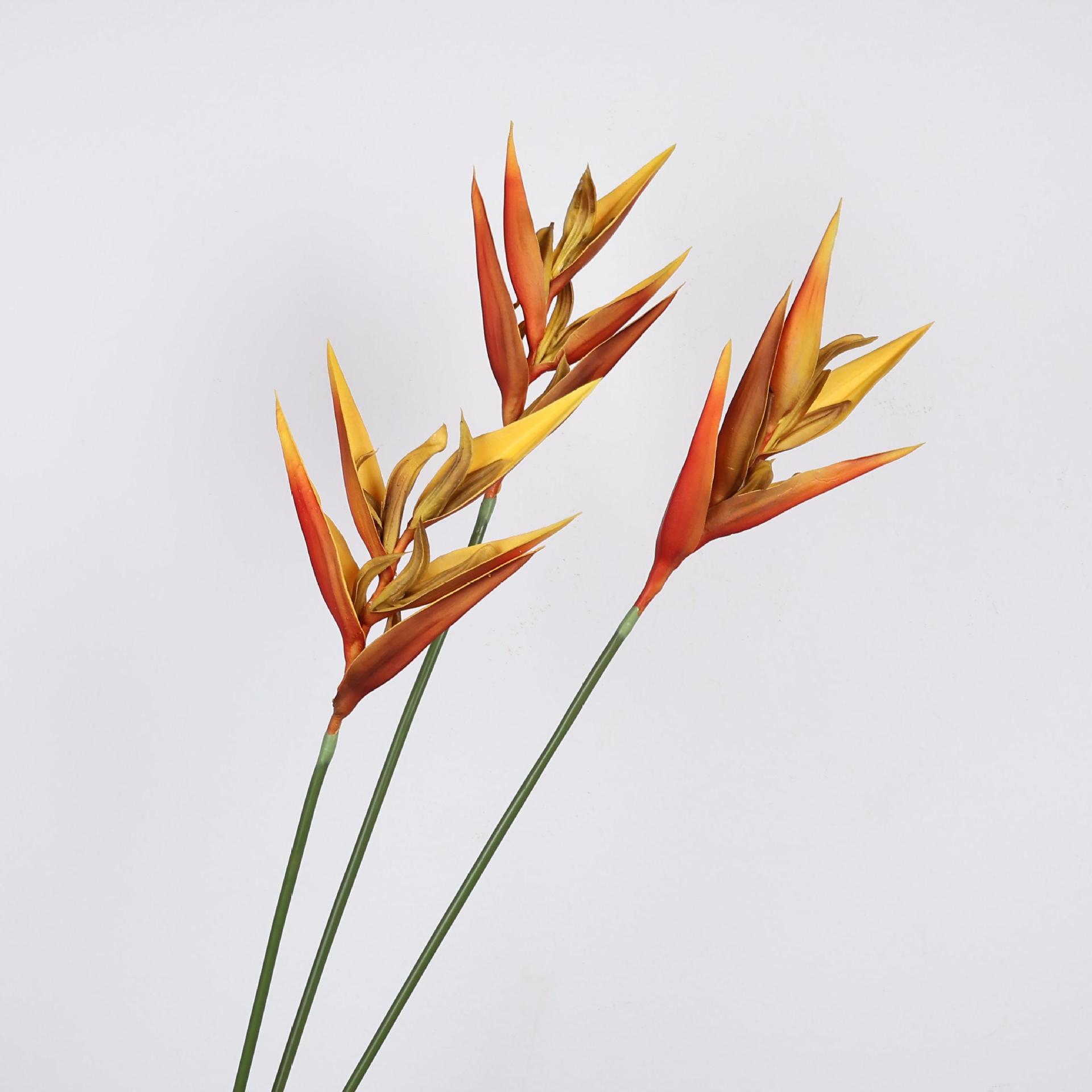 Sztuczna roślinka Strelitzia ( – Bird Paradise Strelitzia recenzja i cena