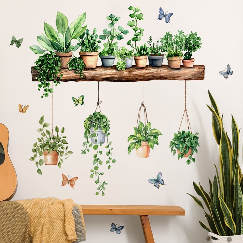 Naklejki ścienne 3D z zielonym – Echeveria Succulent recenzja i cena