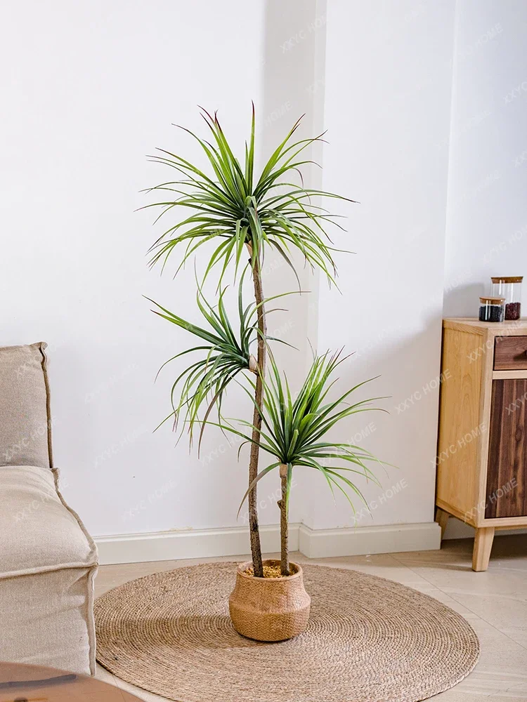 Lekka luksusowa symulacja ziel – Dracaena Marginata recenzja i cena