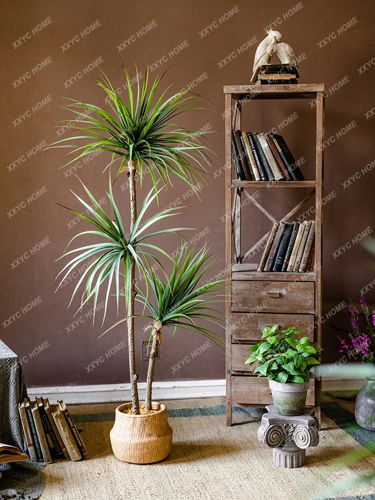 Lekka luksusowa symulacja ziel – Dracaena Marginata recenzja i cena