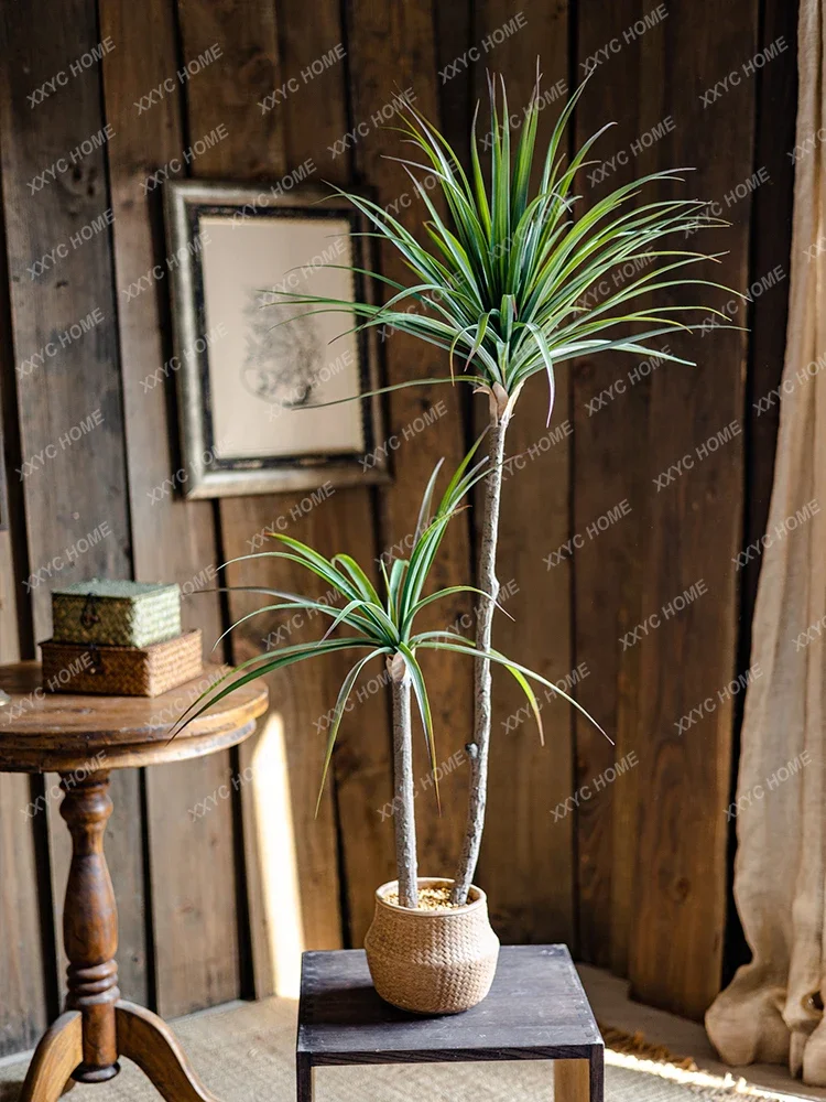 Lekka luksusowa symulacja ziel – Dracaena Marginata recenzja i cena