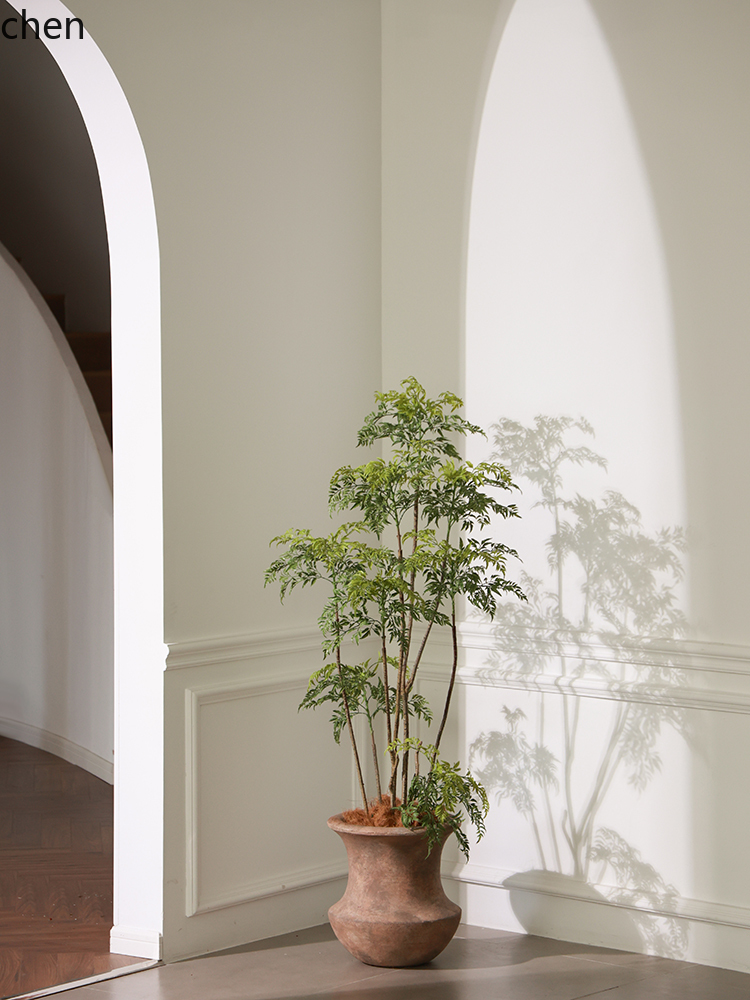 LYY Wazon Podłogowy Zielona Ro – Ficus Lyrata Tree recenzja i cena