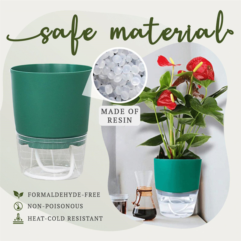 Leniwa hydroponiczna doniczka  – Aloe Vera Pot recenzja i cena