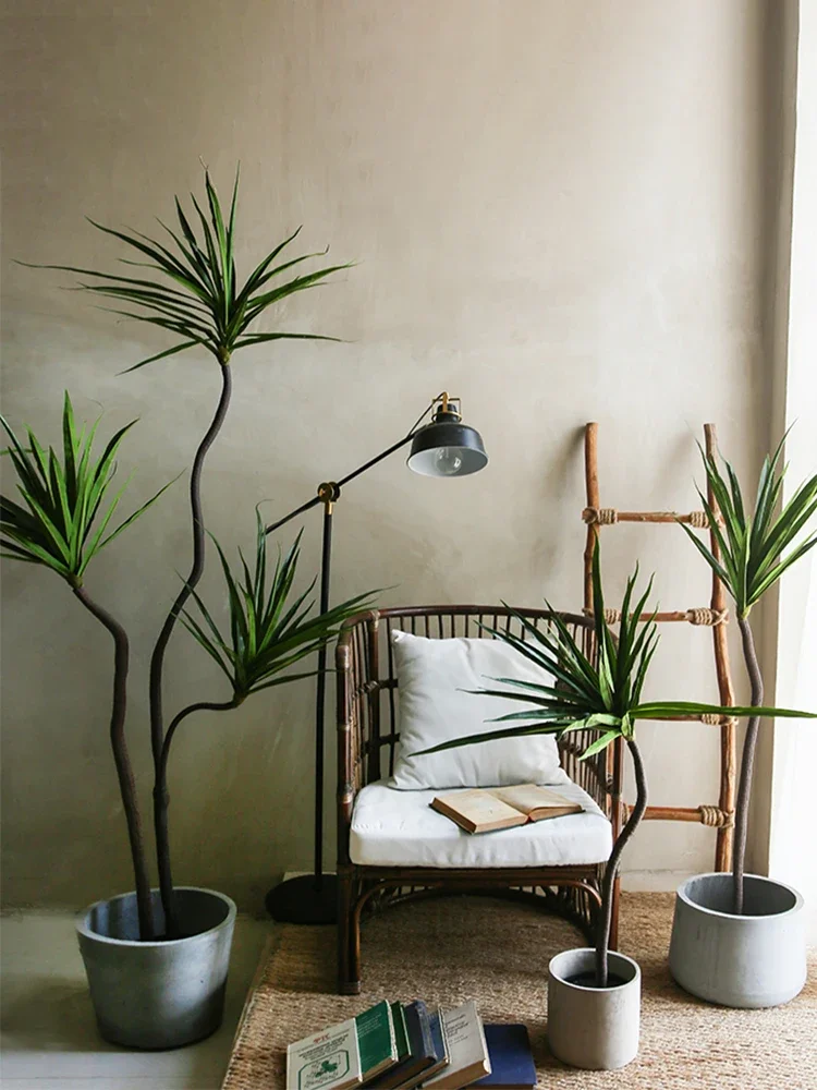 Symulacja rośliny Dracaena Mar – Dracaena Marginata recenzja i cena