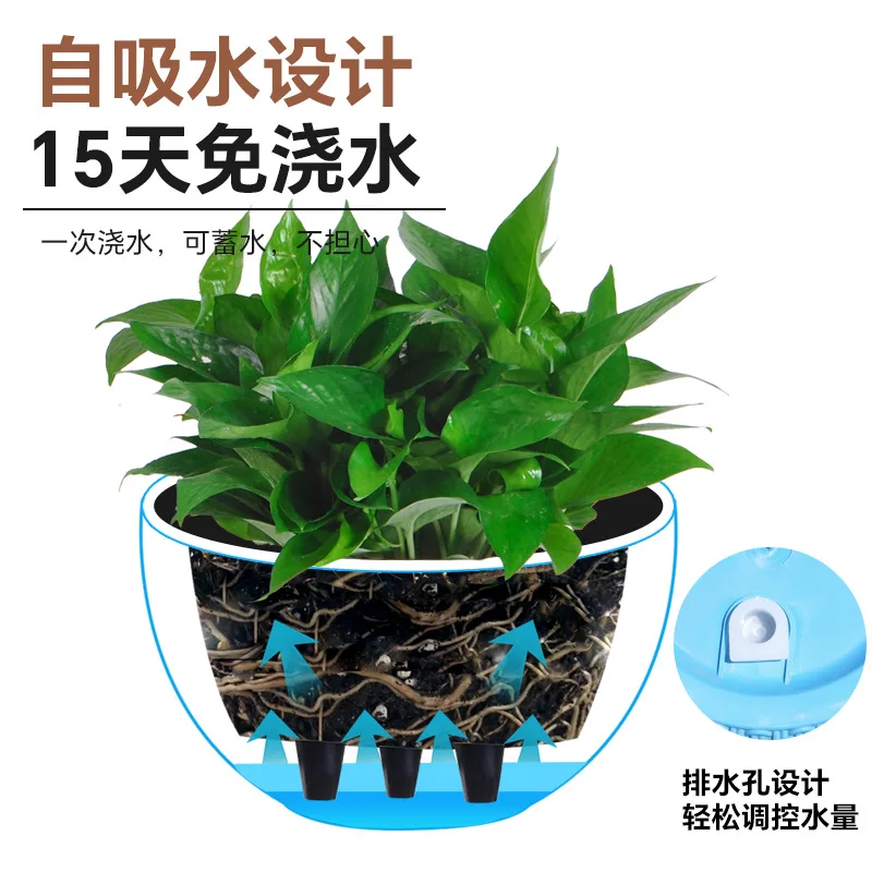 Nowa prosta doniczka wisząca z – Spider Plant Hanging recenzja i cena