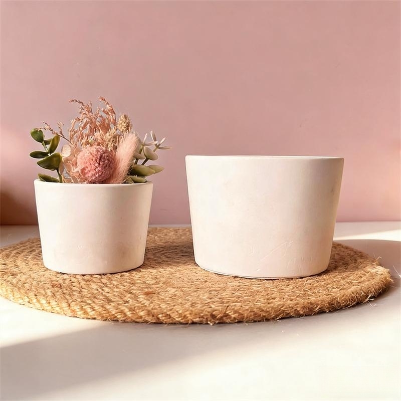 Okrągła gipsowa doniczka, kwie – Echeveria Succulent recenzja i cena