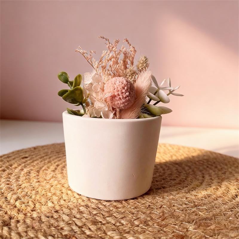 Okrągła gipsowa doniczka, kwie – Echeveria Succulent recenzja i cena