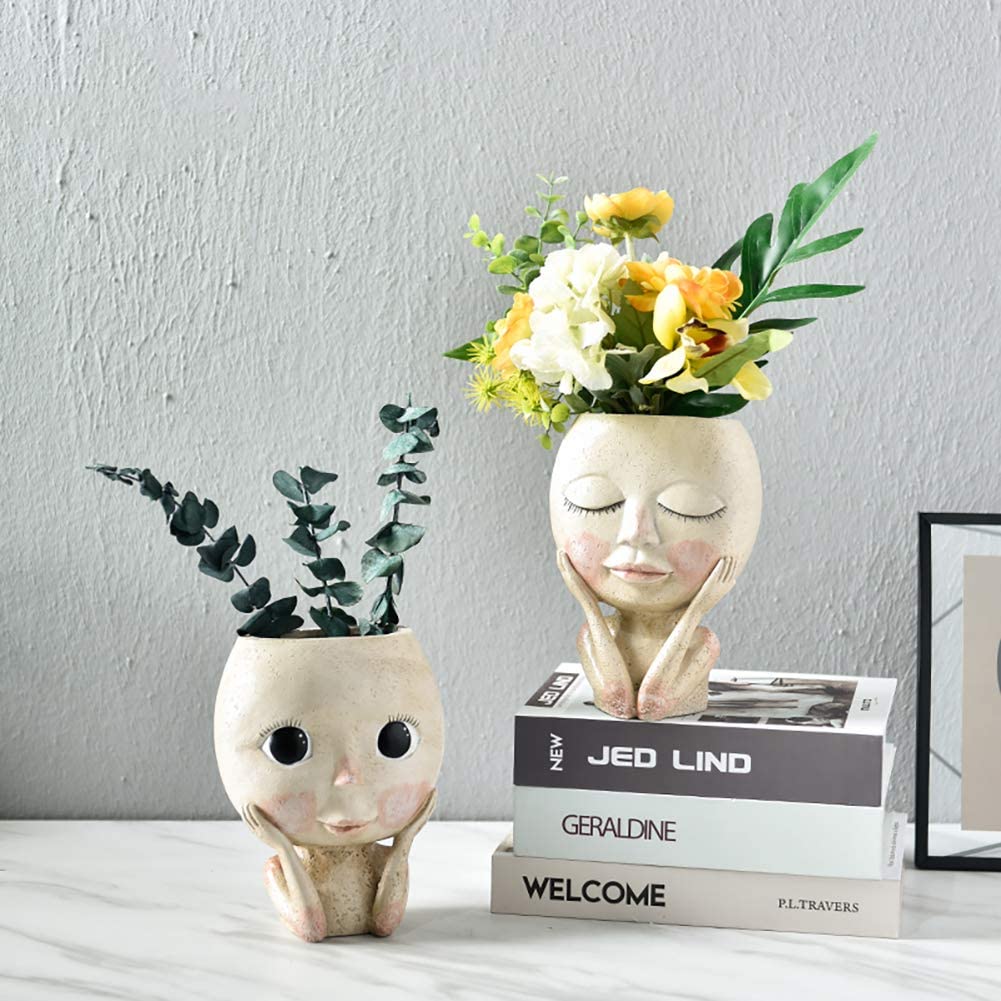 Sadzarka do kwiatów z twarzą d – Echeveria Succulent recenzja i cena