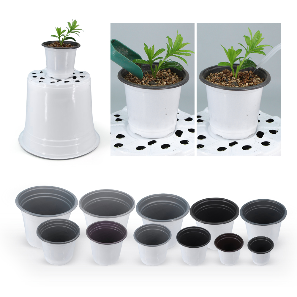 Ogród Biała plastikowa doniczk – Echeveria Succulent recenzja i cena