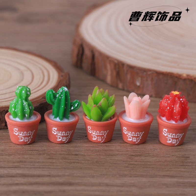 5 szt. sztucznych sukulentów w – Echeveria Succulent recenzja i cena